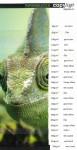 Papierliste